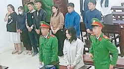 lap hoa don khong chiem doat gan 125 ty nu nhan vien lanh an 20 nam 6 thang