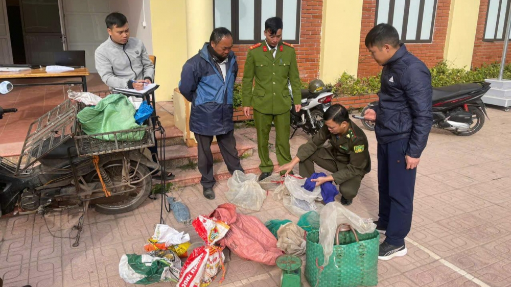 Bắc Ninh: Phát hiện, xử lý trường hợp mua bán động vật hoang dã trái phép tại xã Tân Sơn