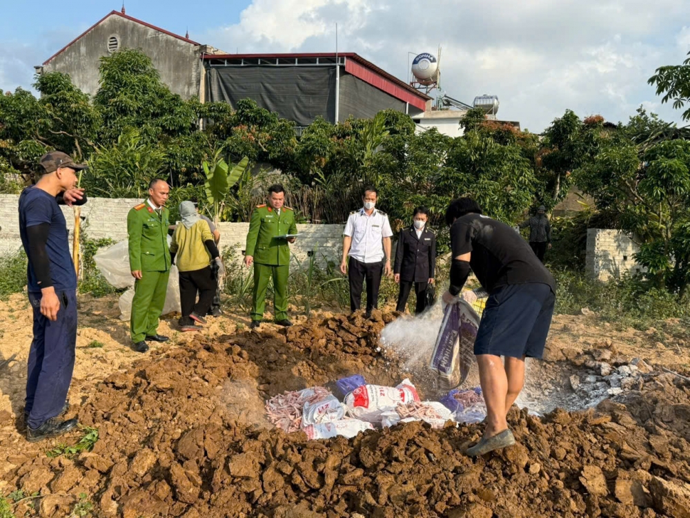 Bắc Ninh: Phát hiện, xử lý hợp tác xã thu mua, chế biến chân gà đông lạnh không rõ nguồn gốc
