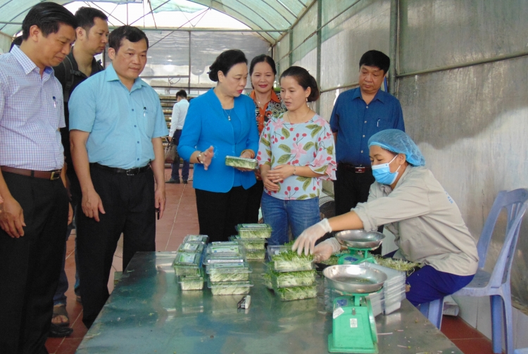 du thao van kien dai hoi lan thu xvii dang bo thanh pho ha noi de lay y kien dong gop cua nhan dan