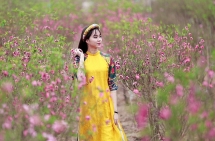 “Khai hoa” rực rỡ để “kết quả” ngọt ngào