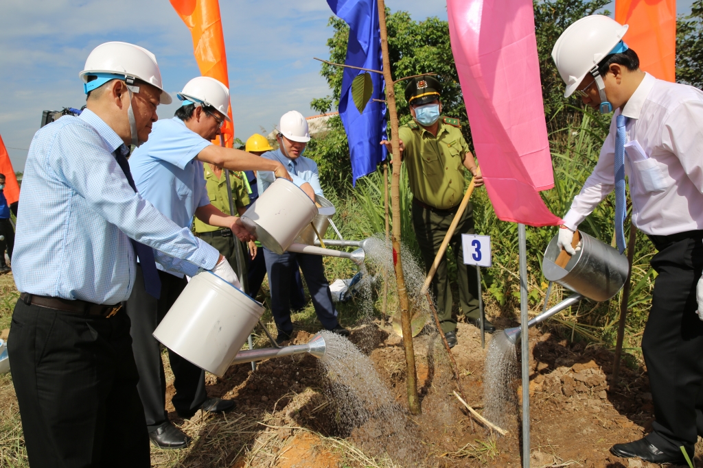 Tỉnh Bến Tre sẽ tập trung trồng cây trên những tuyến đường giao thông lớn, các khu hạ tầng đô thị, du lịch trên địa bàn tỉnh