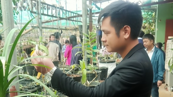 Anh Đặng Đình Xuân kiểm tra sự phát triển của cây lan rừng