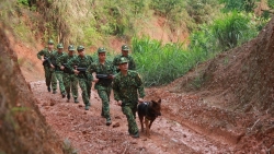 trinh nguyen sang chien si bien phong het long vi nhiem vu