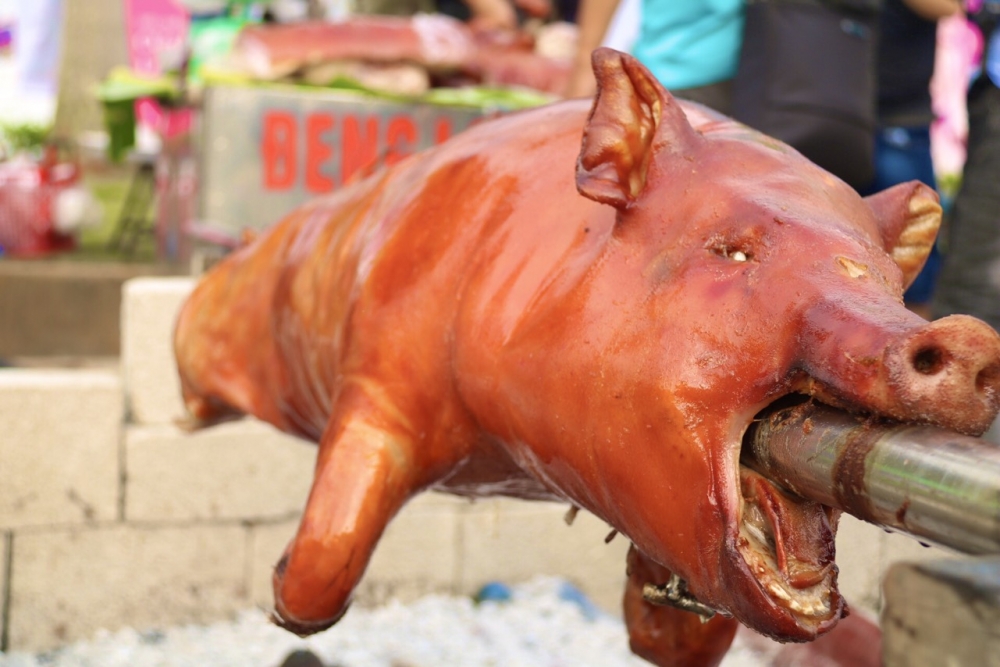 Đi ăn lợn quay lễ hội Xuân Xứ Lạng