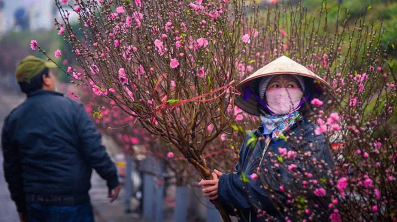 Đào Tết tại chợ hoa xuân Tây Hồ