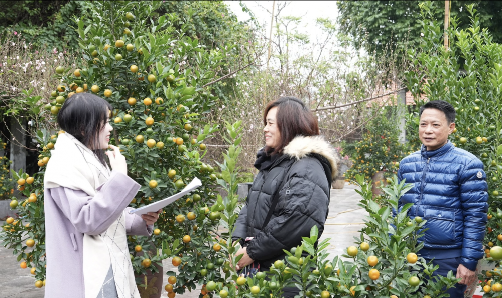 tay ho giu nhip cho hoa tet binh ngo 2026