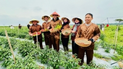 da phuc cham thien nhien dua den ba thanh diem nhan du lich xanh