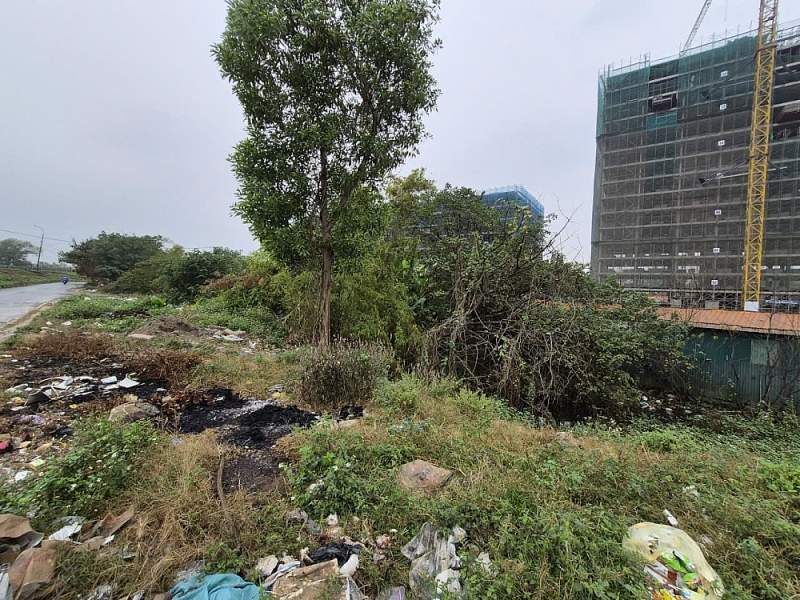 Lĩnh Nam ra quân làm sạch đất công, “điểm nghẽn” môi trường chuyển biến rõ Lĩnh Nam ra quân làm sạch đất công, “điểm nghẽn” môi trường chuyển biến rõ