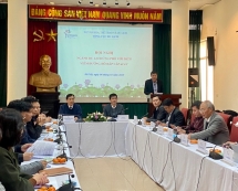 Du lịch Việt Nam ứng phó nguy cơ sụt giảm khách từ Trung Quốc