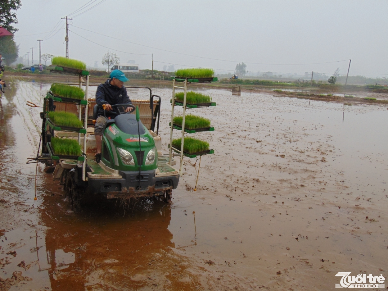 Kiểm tra công tác sản xuất nông nghiệp và phòng chống dịch bệnh tại Thạch Thất