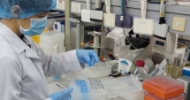 Việt Nam có 30 phòng xét nghiệm có thể xét nghiệm Covid-19
