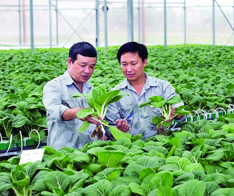 Mô hình nông nghiệp công nghệ cao của Tập đoàn VinGroup