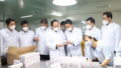 Lãnh đạo thành phố Hà Nội thăm, động viên sản xuất đầu năm tại huyện Thường Tín