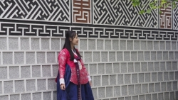 Giới trẻ rủ nhau picnic mùa xuân đến Hàn Quốc ngay giữa lòng Hà Nội