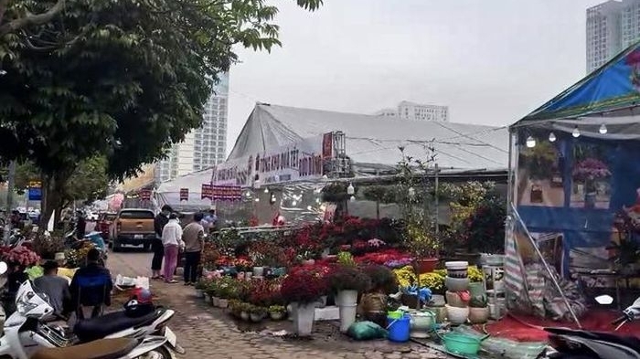 Hà Nội: Điều tra người tự xưng công an thu phí “lốt” bán cây cảnh Tết