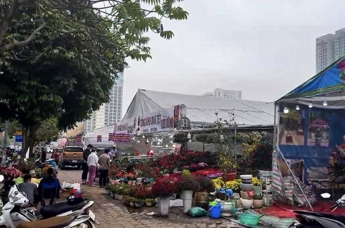Một góc Chợ hoa xuân Giáp Thìn 2024 tại lô đất E5. Ảnh: Báo Lao động