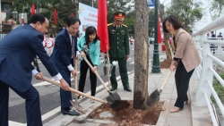 Mỗi cây xanh góp phần đưa Tây Hồ trở thành trung tâm dịch vụ, du lịch của Thủ đô