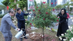 Quận Cầu Giấy phát động Tết trồng cây: Chung tay vì Thủ đô xanh