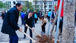 tet trong cay tai tay ho huong toi do thi xanh ben vung