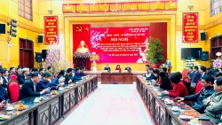 doanh thu dao quat canh hoa tet cua tay ho dat hon 103 ty dong