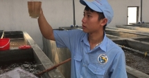 Chàng kỹ sư thủy sản đam mê, nhiệt huyết với nghề