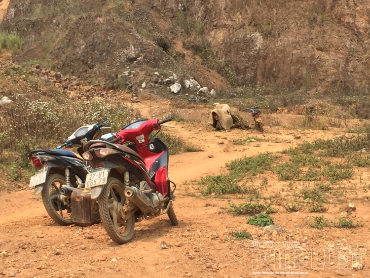 bai 1 nuoi mong doi doi tu vang o phi nhu