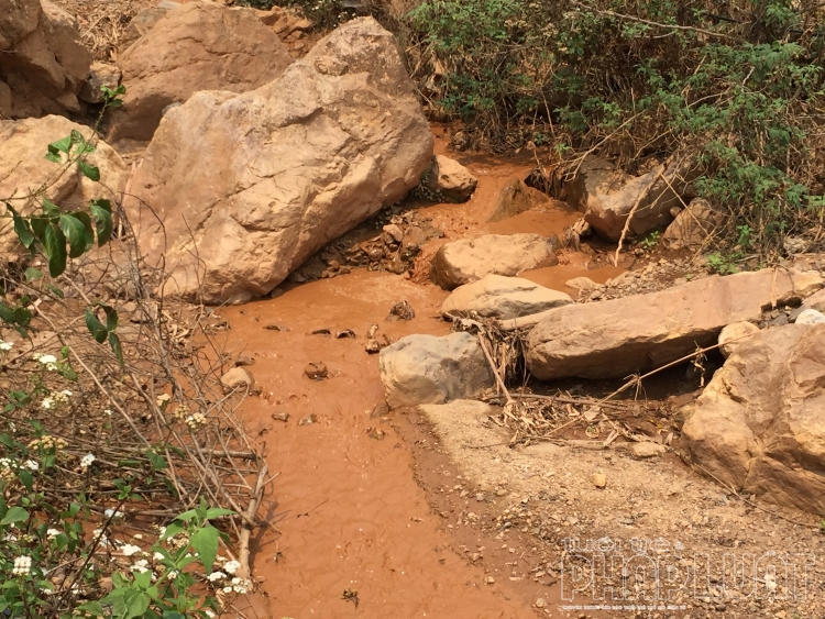 bai 1 nuoi mong doi doi tu vang o phi nhu