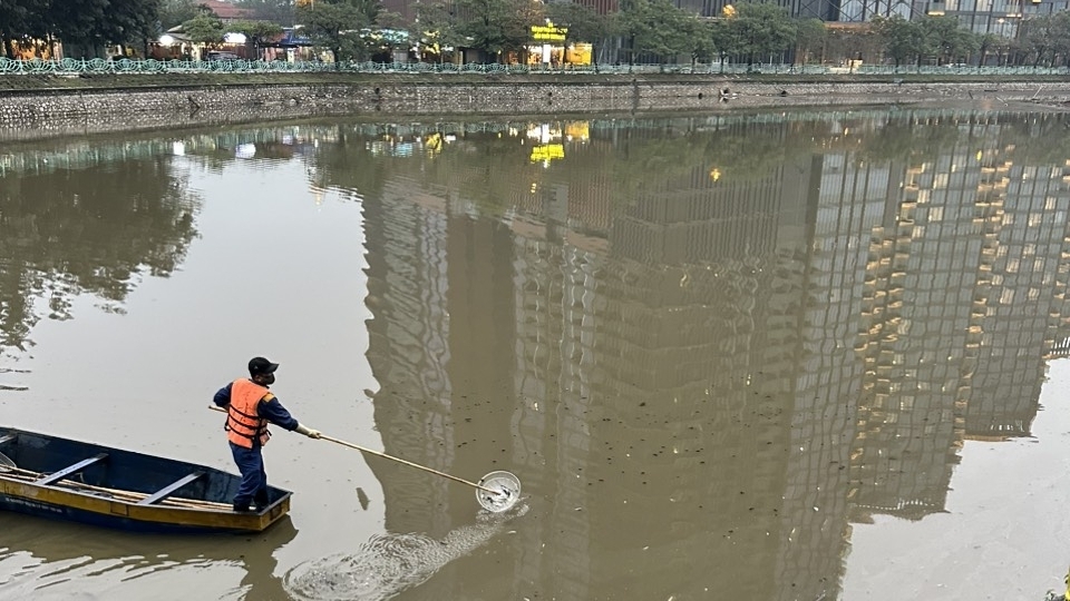 Quận Tây Hồ: Lý giải nguyên nhân cá chết nổi trên mặt hồ Thuỷ Sứ