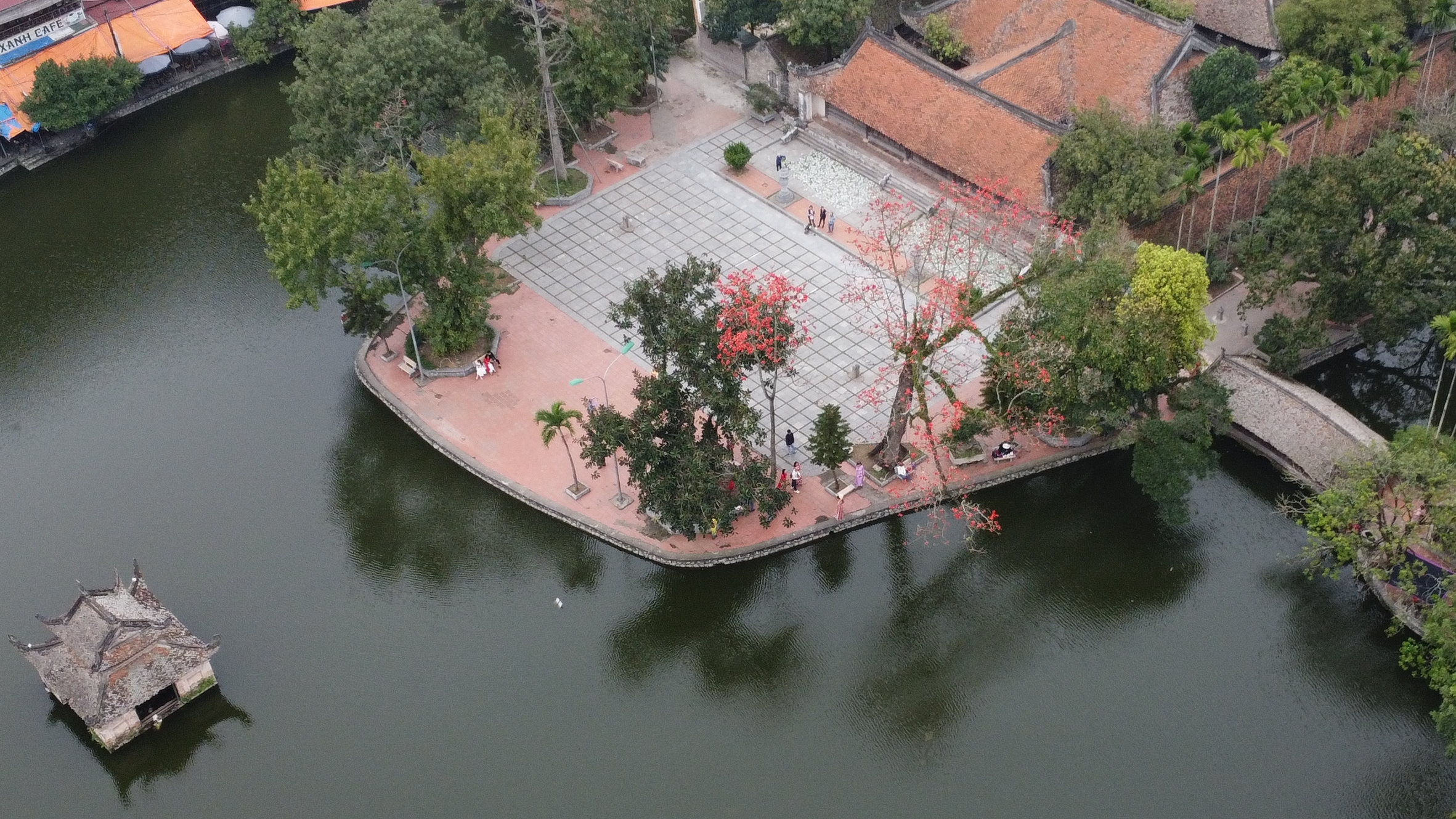 Tháng 3, ngắm vẻ đẹp rực rỡ của hoa gạo ở chùa Thầy