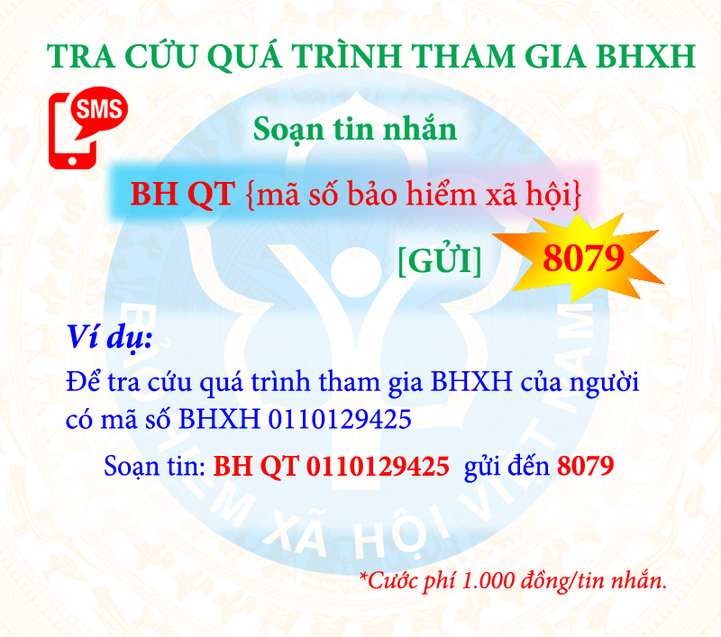 nguoi dan co the nhan tin tra cuu dich vu bao hiem qua dau so 8079