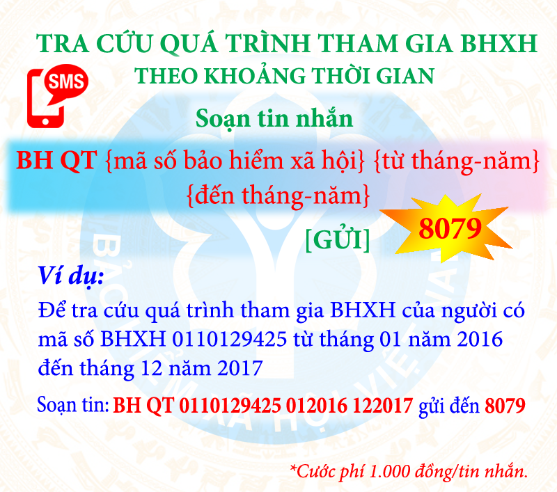 nguoi dan co the nhan tin tra cuu dich vu bao hiem qua dau so 8079