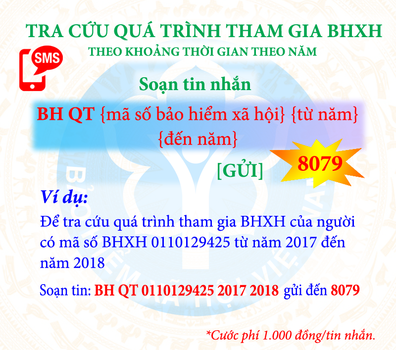 nguoi dan co the nhan tin tra cuu dich vu bao hiem qua dau so 8079