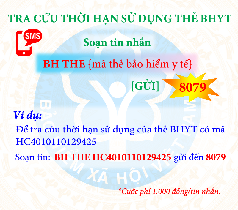 nguoi dan co the nhan tin tra cuu dich vu bao hiem qua dau so 8079