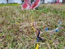 Xung quanh Festival "thu vé" ở Quảng Bình: Chính quyền đã làm gì?