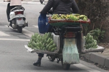 Xác minh, xử lý cán bộ liên quan vụ cưỡng chế xe bán rau tại Hạ Long