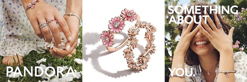 Những đóa hoa cúc mang biểu tượng của sự tự do và dũng cảm