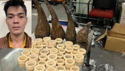 Khởi tố một đối tượng vận chuyển sừng tê giác, ngà voi về Việt Nam bằng máy bay