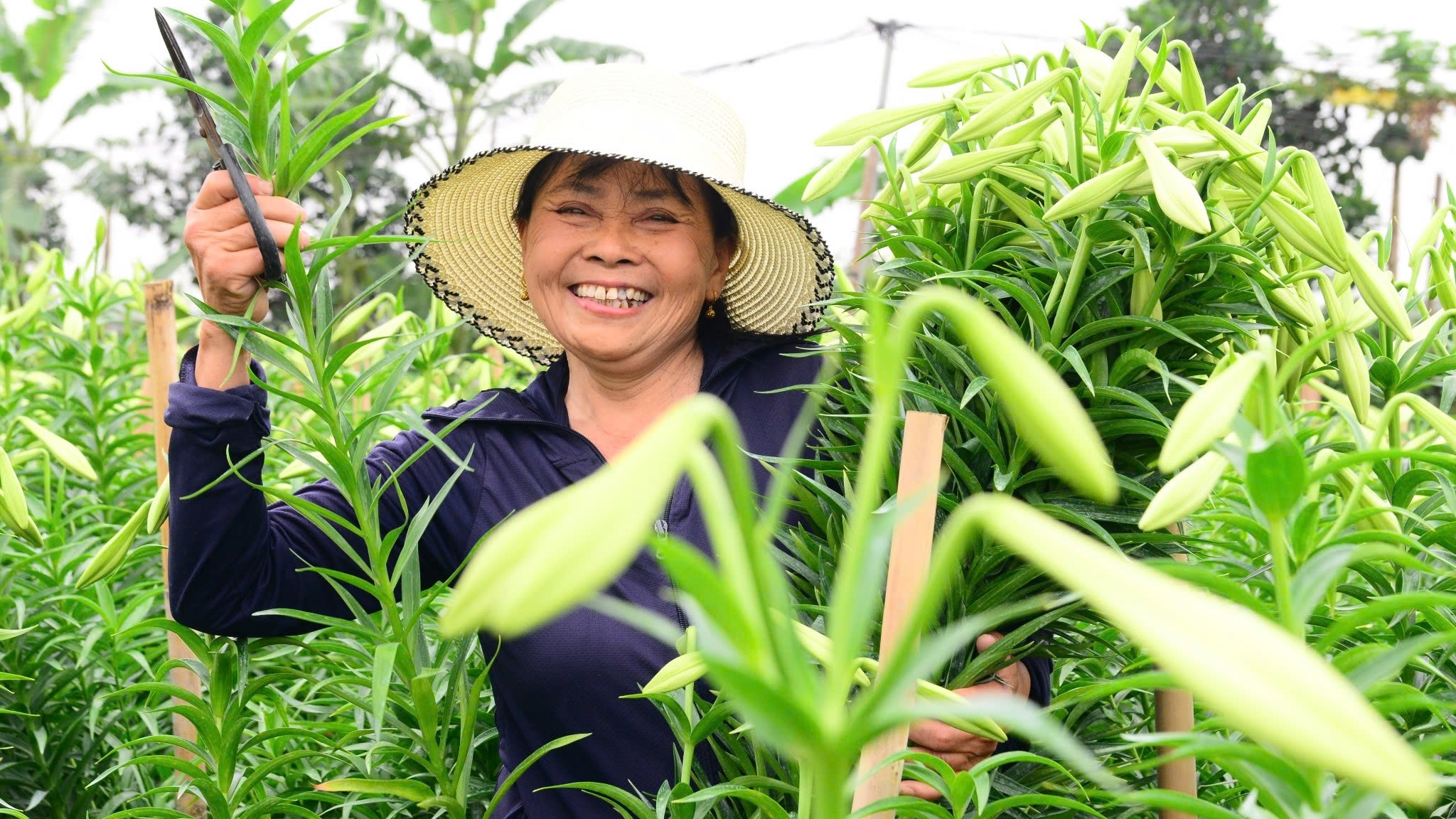 Nông dân Thủ đô bảo vệ môi trường, phát triển nông nghiệp sạch