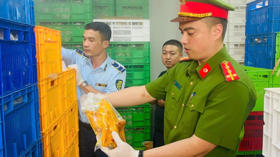Chặn đứng 20 tấn gà bẩn đang trên đường tới với thực khách
