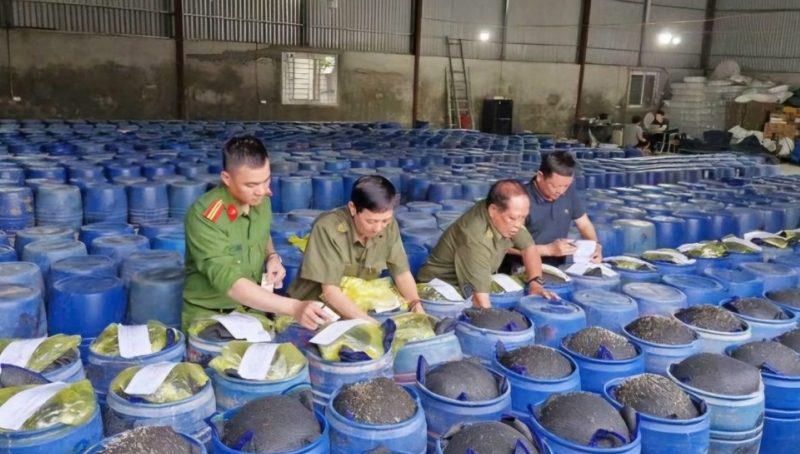 Bí kíp thoát khỏi "ma trận" hàng giả