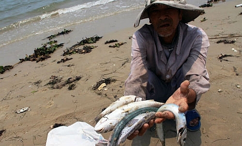 xay dung ha tang nghe ca tu tien boi thuong cua formosa