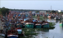 Chấm dứt ngay tình trạng tàu cá khai thác hải sản trái phép ở vùng biển nước ngoài
