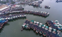 Việt Nam bác bỏ lệnh cấm đánh bắt cá của Trung Quốc ở Biển Đông