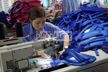 Ngô Thị Hạnh - công nhân có đôi bàn tay vàng