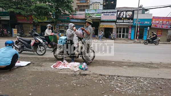 thit lon khong dau kiem dich van tung hoanh via he