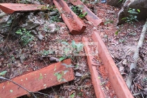 Khởi tố hàng loạt đối tượng vụ phá rừng nghiêm trọng tại VQG Phong Nha – Kẻ Bàng