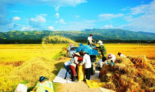 suc song moi tren chien truong dien bien phu