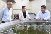 Dịch Covid-19 như một "đợt sóng thần" với những nhà khởi nghiệp trẻ