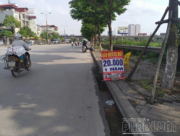 bao hiem via he sua ngay cho co gia tri khong thiai mua